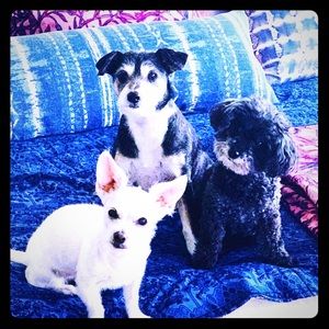 Fashionable, gently used new & vintage